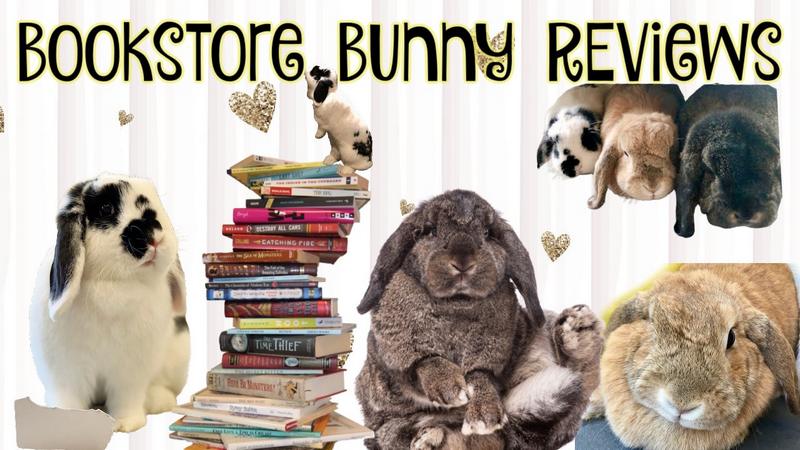 Bunny Book Reviews