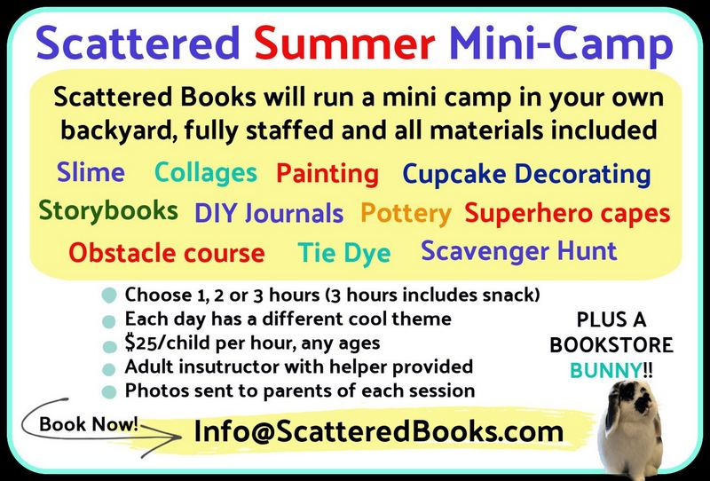 mini summer camp flyer